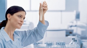 Woman working in laboratory and looking in a test tube.